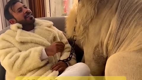 Simba Lion 🦁 with Prince humaid Dubai 🦁 #lion #Dubai #didin_clash
