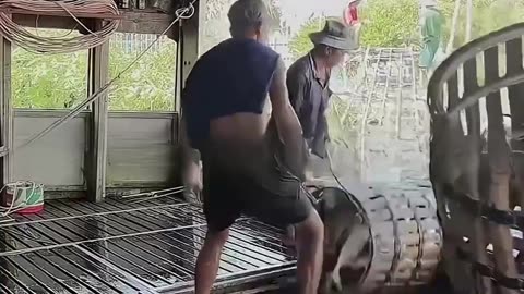 An incAn Incredible Secret About Big Ships