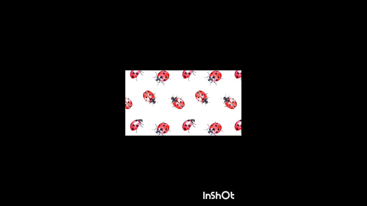 enjoy ladybug 🐞🐞