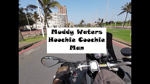 Muddy Waters - Hoochie Coochie Man