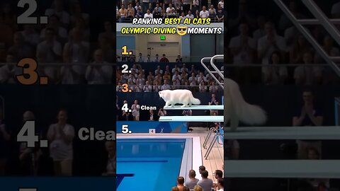 Ranking Best AI Cats Olympic Diving Moments