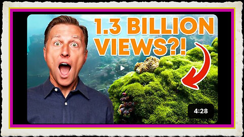 Why Sea Moss Is Going VIRAL!