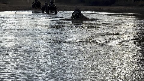 Mudaholic 2025 trey following white 420