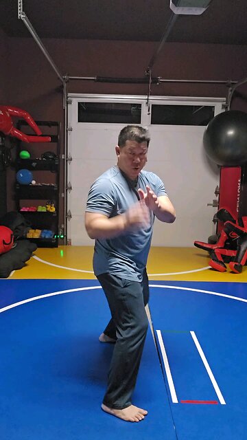 WTD Hand Combination P, Bridge Set (Rank 1)