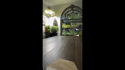 Hate someone because of their skin, color or political view