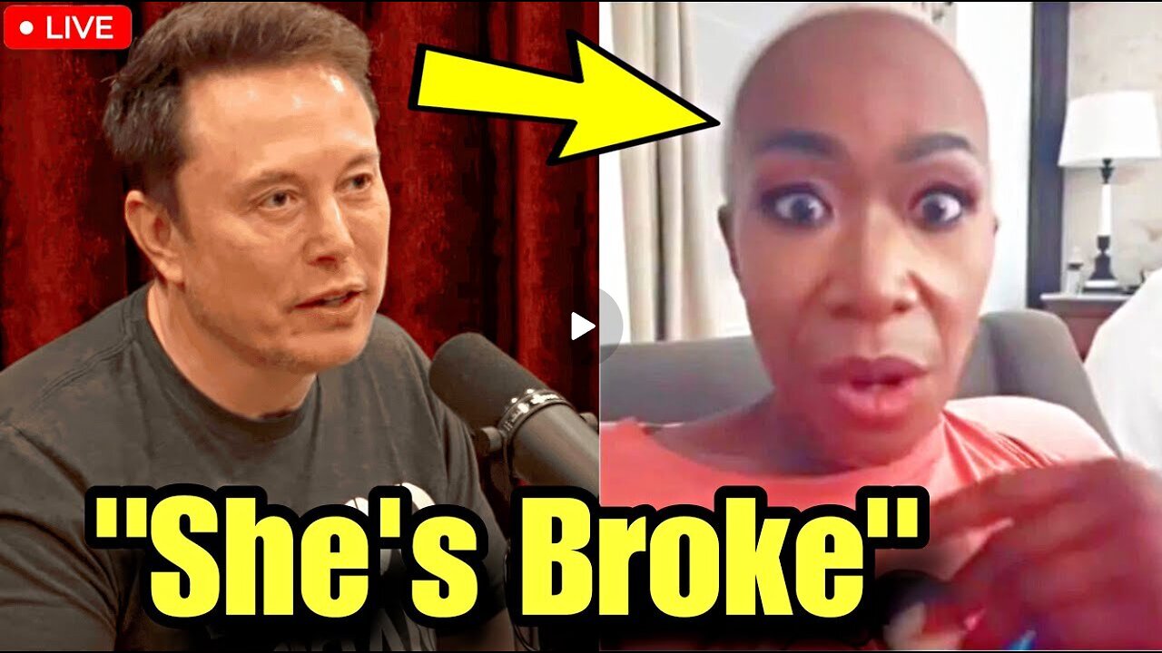 You won’t Believe What Elon Musk Just Did To This MSNBC Host - Dec 26