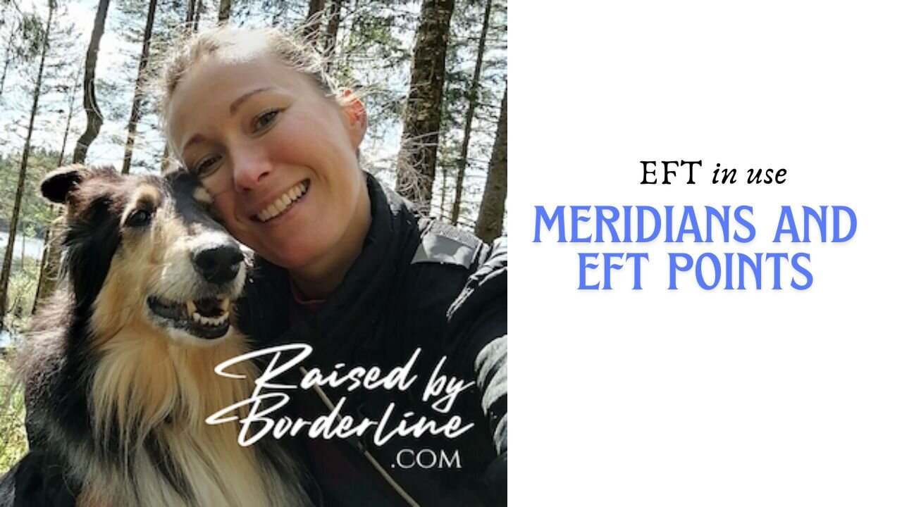 EFT tapping points, primo vascular system (meridians) and our organs