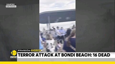 sydney terror attack. terror attack at bondi beach. 16 dead