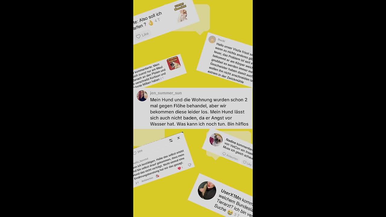 Jen Summer fragt Dr. Franz Spitzer, was er gegen Hundeflöhe machen kann