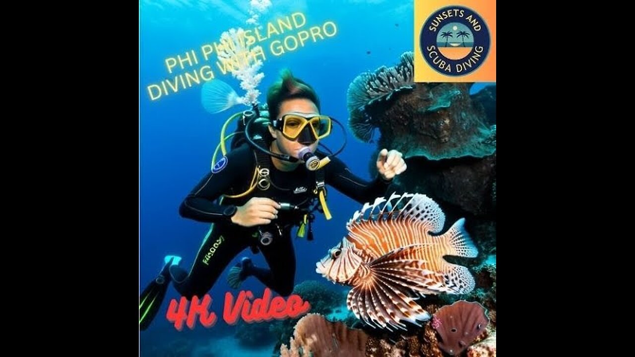 Unveiling Bida Nok Reef Secrets | Phi Phi Island Dive 🐠🌊