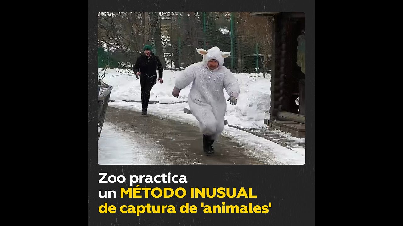 Así entrena este zoo a su personal para un escape de animales