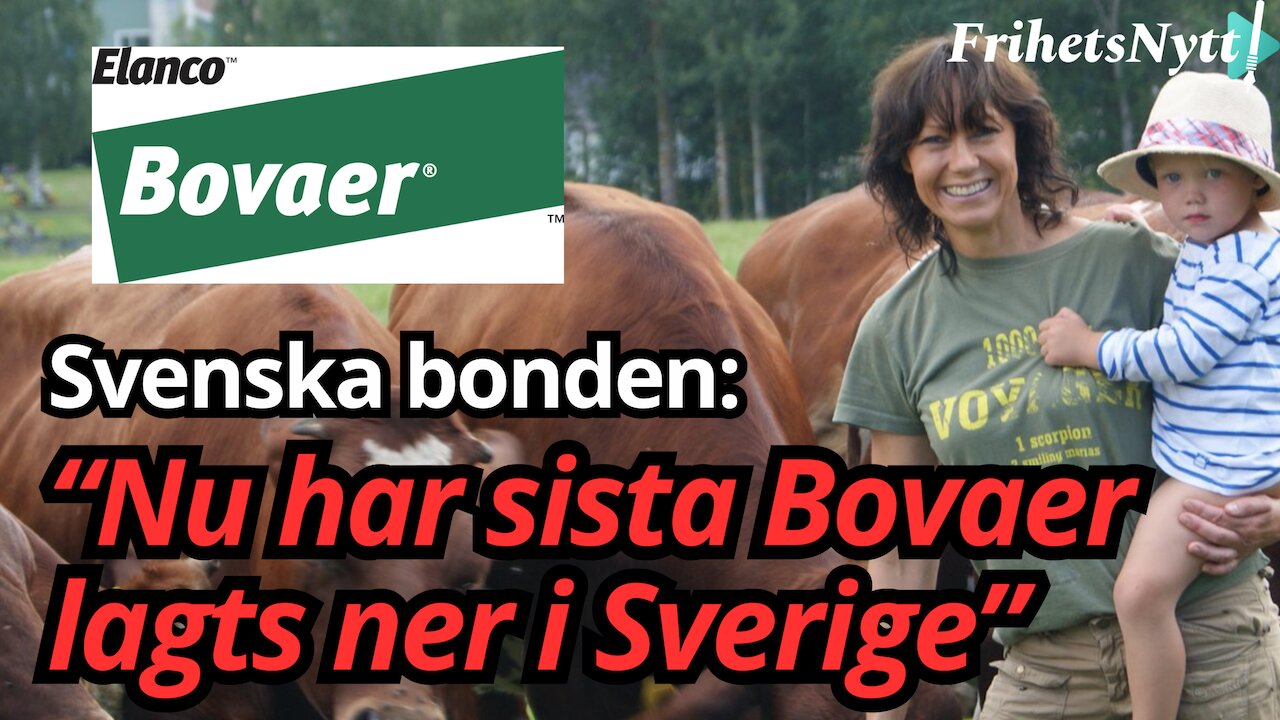 SISTA Bovaer-projektet i Sverige stoppas – bönderna firar stor seger!