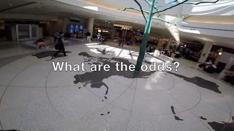 [Jul 10, 2017] Giant Trees on a Flat Earth