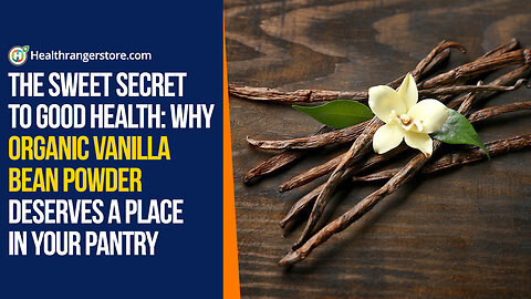 The sweet secret to good health: Why Organic Vanilla Bean Powder deserves a place in your pantry