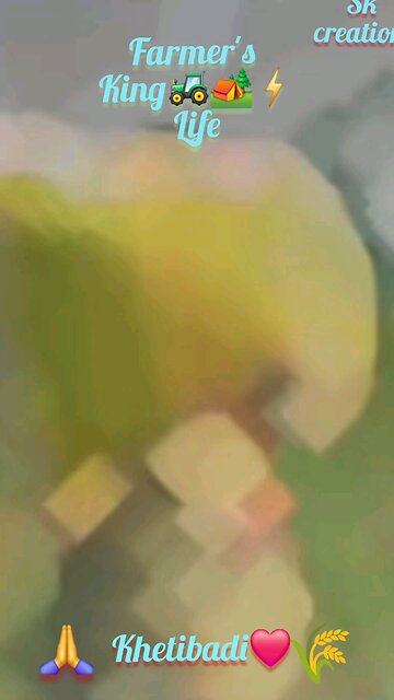 Farmer's life king status 2025 || sk creations || खेतीबाड़ी #kisankheti #farmer | 2025 ||