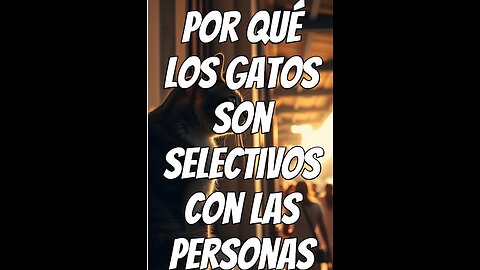 Por que los gatos son selectivos con las personas