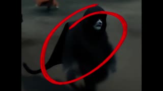 GO👻Lost👀Long⏰Time💥🔥😎Nobody👀Top😎This🤪🤣😎One👀More👍Time😎