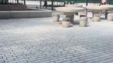 Hussy fights in Target