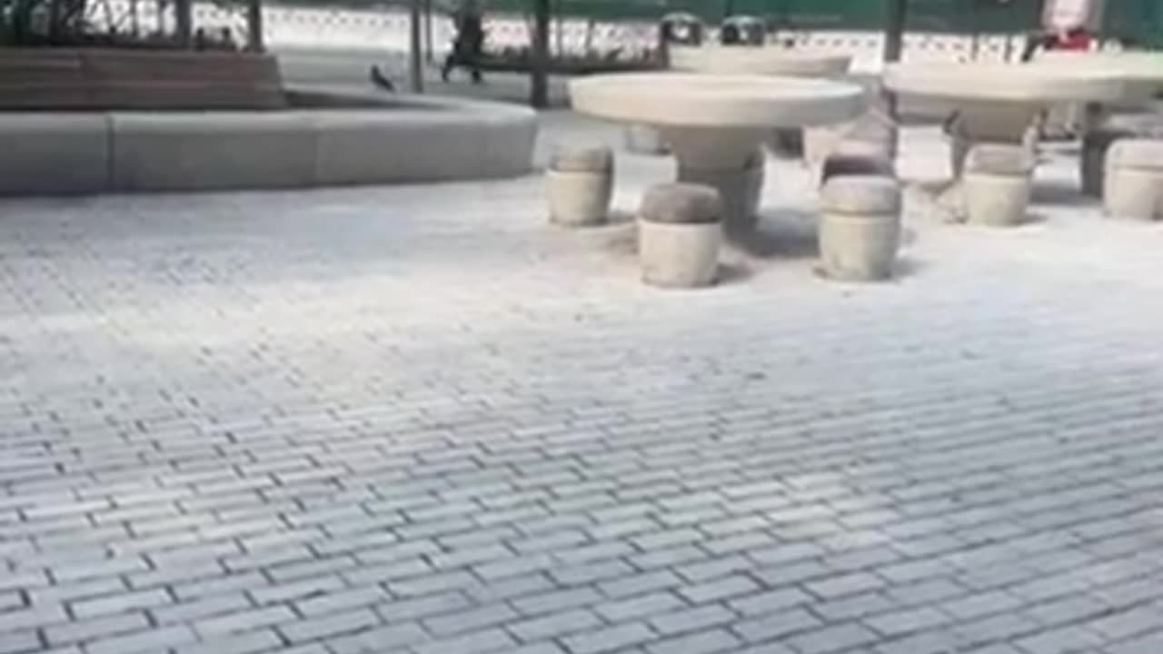 Hussy fights in Target