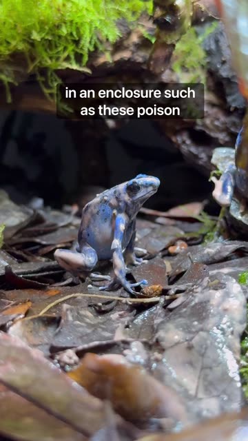 People Freak Out About This!