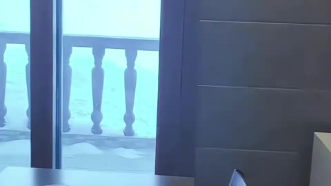 North Korea Girls 북조선 녀성 🇰🇵 DPRK at the Samjiyon resort on Mount Paektu💒