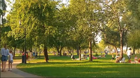 WhatBlackAmericans Really Suffer In the USA