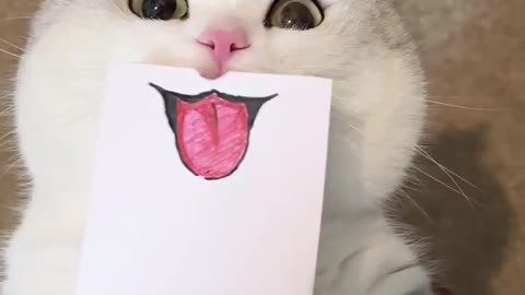 Worth Every Rupee of My Internet Bill 😂🔥