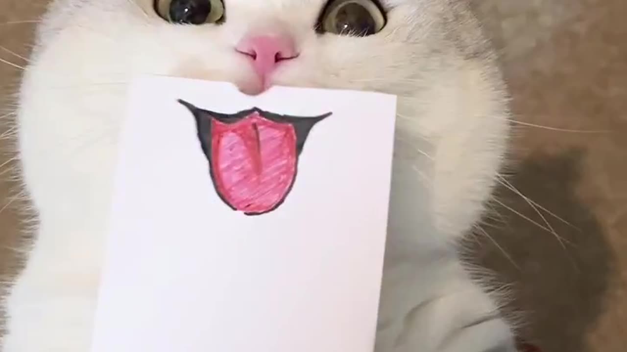 Worth Every Rupee of My Internet Bill 😂🔥