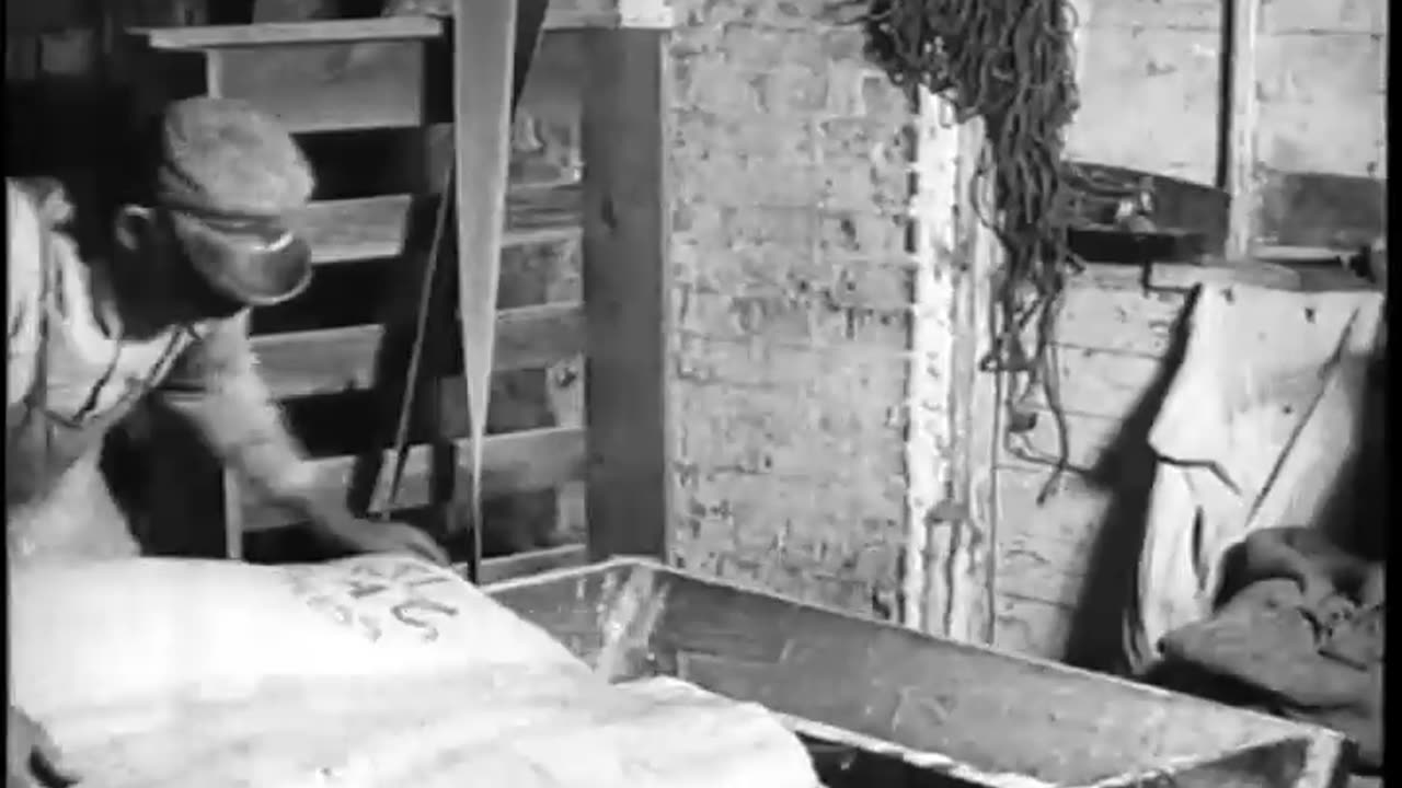 In For a Raise (Making Baking Powde... - In For a Raise (Making Baking Powder) Macaroni - fc-fc-3038