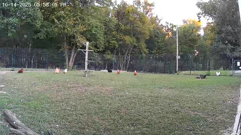 Almost Quitting Time!