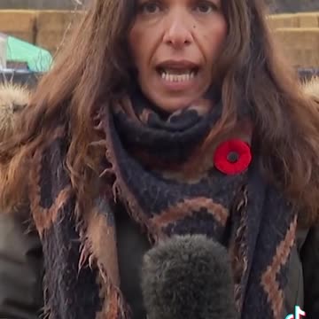 📍 Edgewood, British Columbia — November 2025