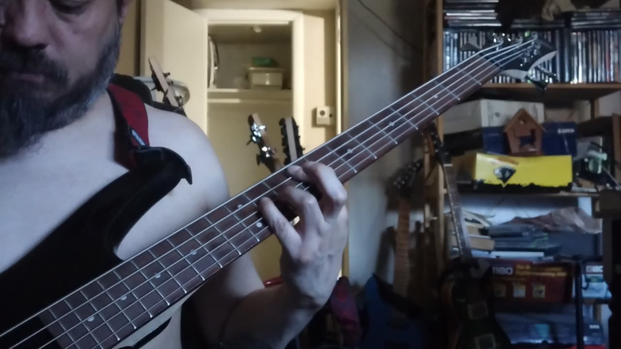 Type O Negative Christian Woman 5 string bass dub