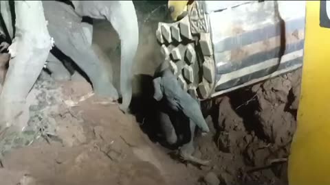 See how the baby elephant was saved।