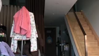 530
