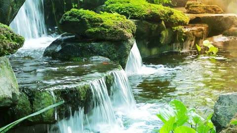 Relaxing Waterfalls Sound
