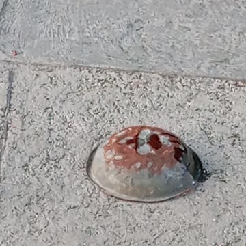 Tin Can Blast Experiment 🔥💥