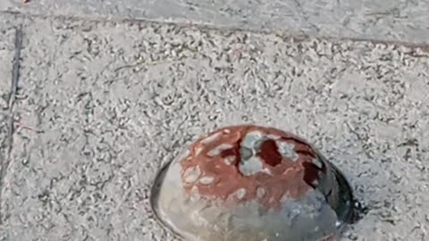 Tin Can Blast Experiment 🔥💥