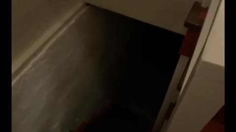 Is This a REAL GHOST Caught on Camera