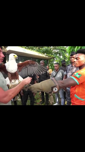 Speed ​​with an eagle