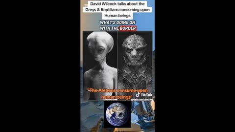 David Wilcock - Greys/Reptilian Meat Wagons ..