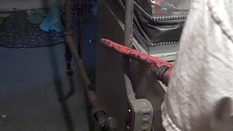 POOKIE & PEANUT WILL BE SURPRISED WHEN THEY SEE FURNACE GONE, SHEA SHOW