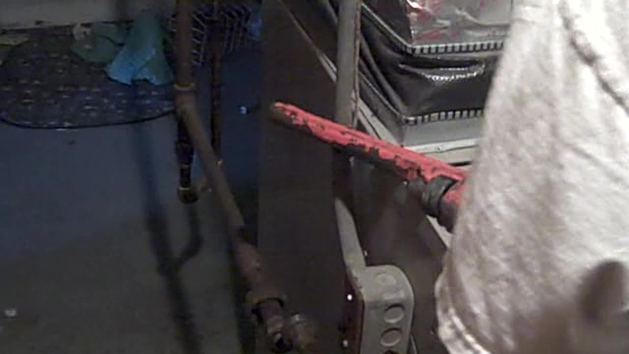 POOKIE & PEANUT WILL BE SURPRISED WHEN THEY SEE FURNACE GONE, SHEA SHOW