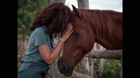 Healing with Equine Therapy