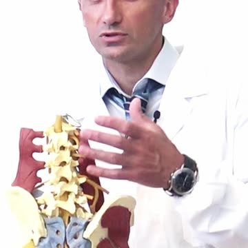 Perchè il bacino è più importante e l'osteopata lo tratta sempre?