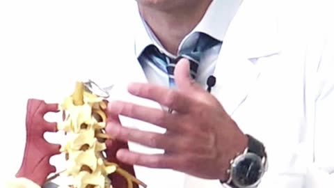 Perchè il bacino è più importante e l'osteopata lo tratta sempre?