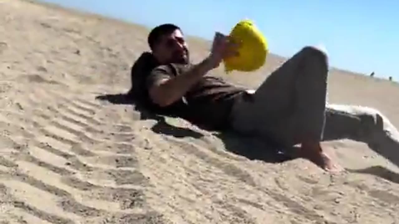 🐢 Normal Animals vs Sea Turtles Right After Being Born! | FunFM