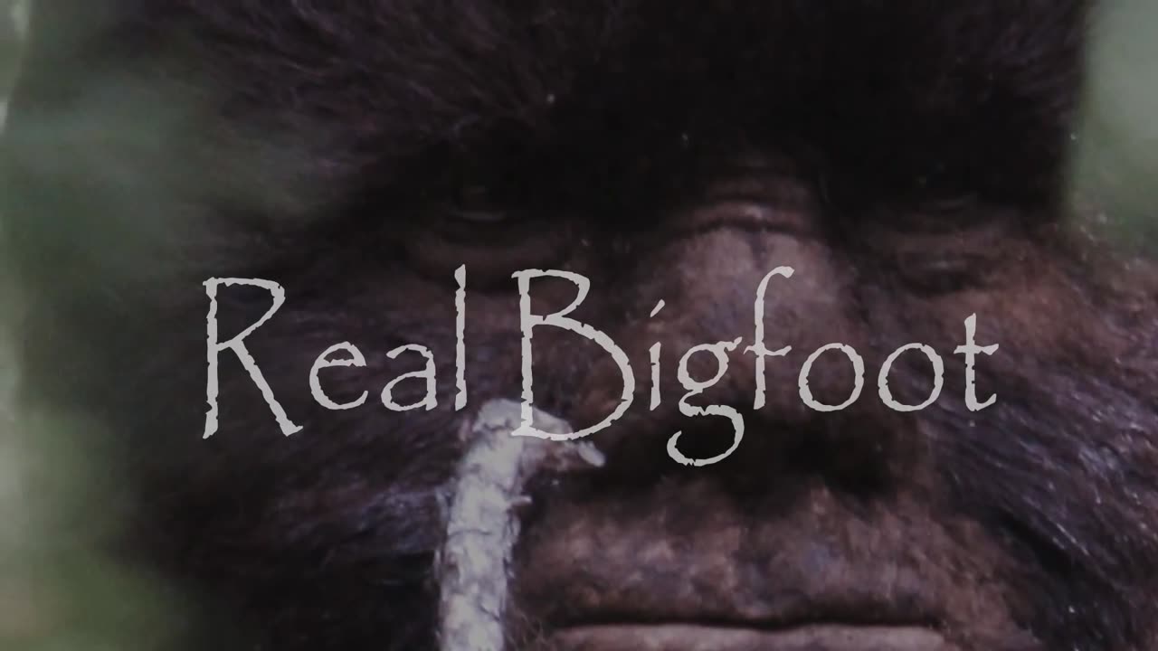 The Discovery of Bigfoot