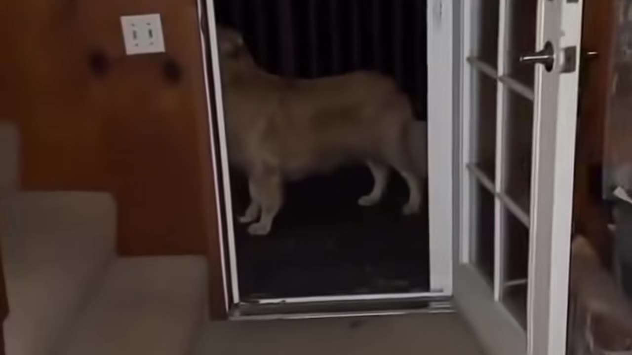 😈🚫 Don't Try This At Home! Alien Ouija | TheHauntingHour