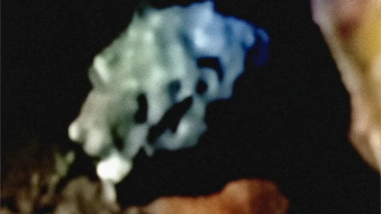 WAV - Heavy Muddy Alert Tail