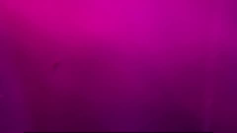 Daily Horoscope | Aquarius 🌟